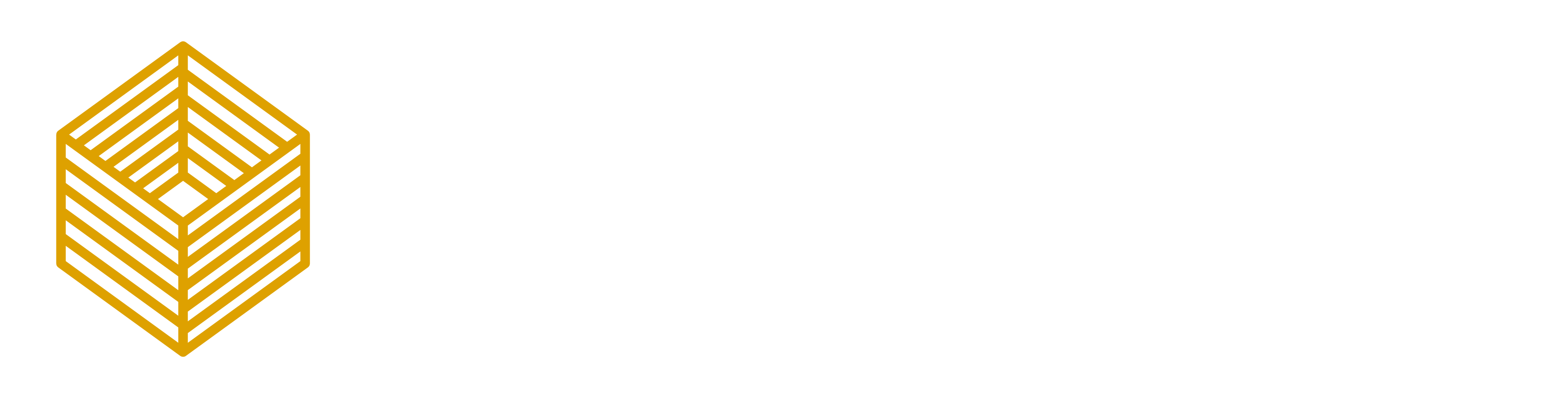 light logo